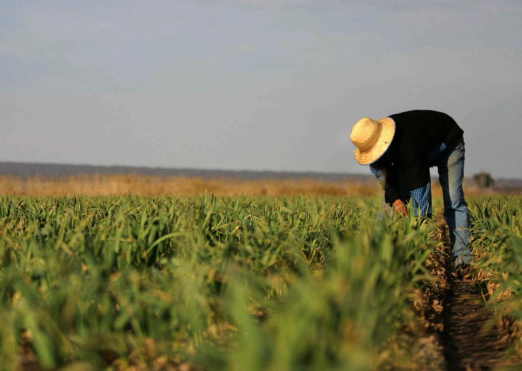 imagen Abren Maestría en Extensión y Desarrollo Rural en la FCA