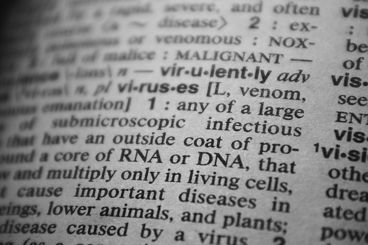 imagen Plant epigenetic regulations and memories: importance for plant development and adaptation to their environment