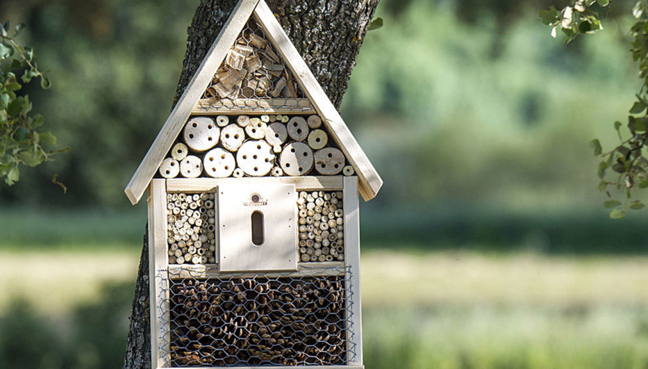 imagen Convocatoria abierta: "Concurso de elaboración de cajas, nidos y hoteles de insectos para estudiantes universitarios y terciarios de la provincia de Mendoza"