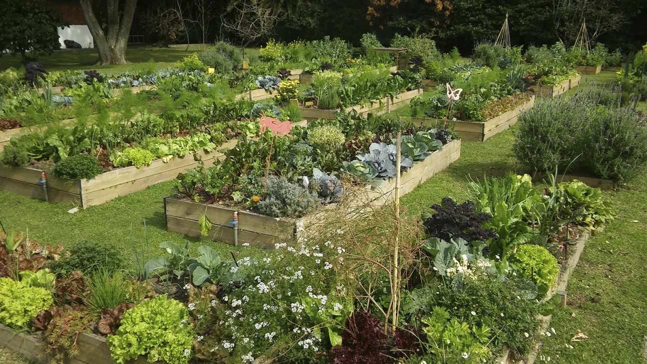 imagen Dictarán curso de huerta agroecológica, aromáticas y compost-lombricompuesto