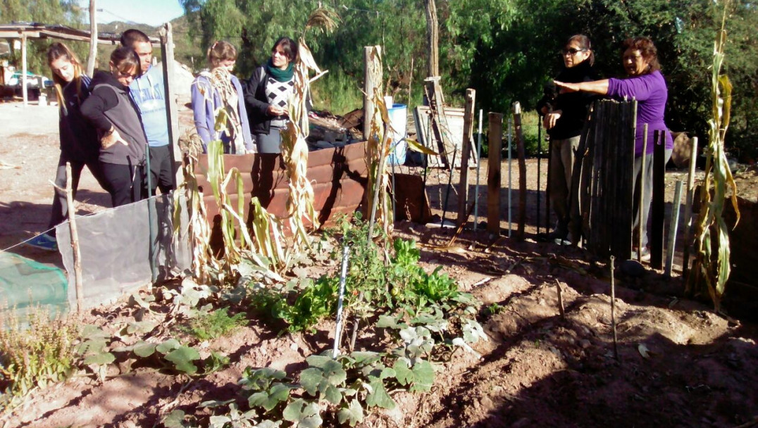 imagen Comunidad de Huerta Agroecológica