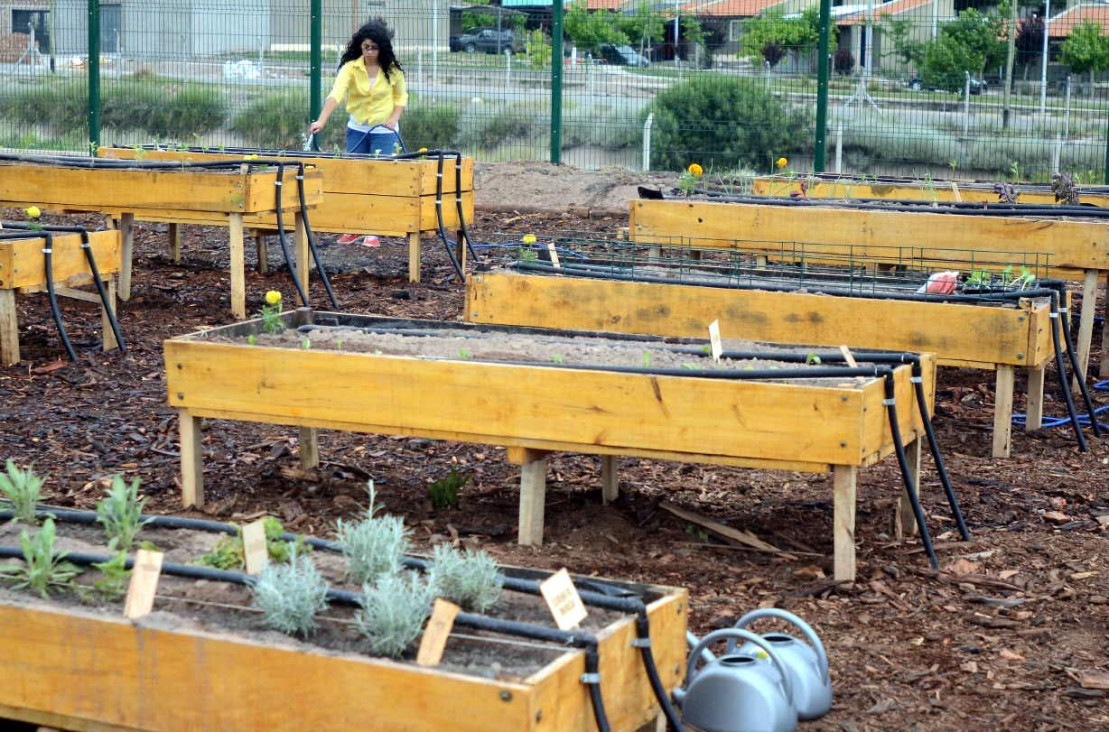 imagen Convocatoria abierta para la huerta del Comedor Universitario  