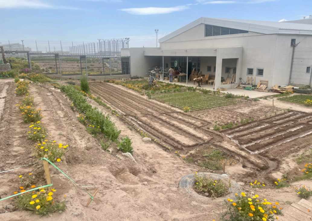 imagen La Escuela de Oficios de la Facultad de Ciencias Agrarias  desarrollará tres cursos de formación en el Penal de Almafuerte