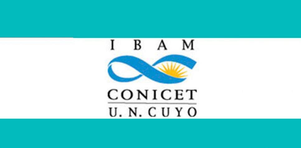 imagen El IBAM invita a docente de la FCA a disertar en su tercer seminario institucional