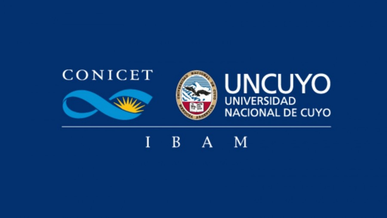 imagen Invitan al 5° seminario virtual del IBAM