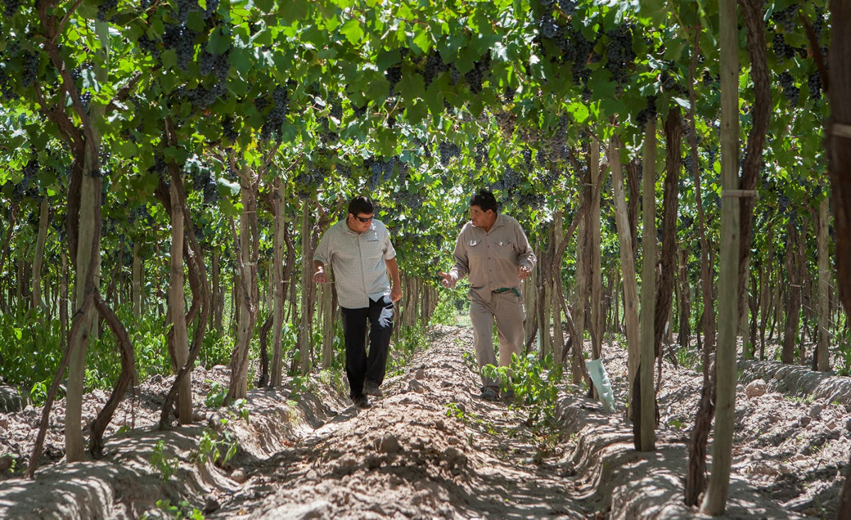 imagen Comienza nueva Diplomatura en Extensión y Desarollo Rural