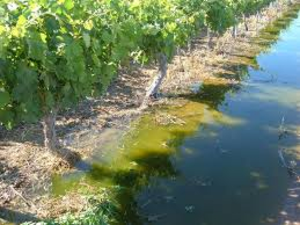 imagen Uso de Aguas Residuales en Agricultura