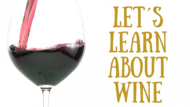 imagen Invitan a participar de curso vitivinícola en inglés