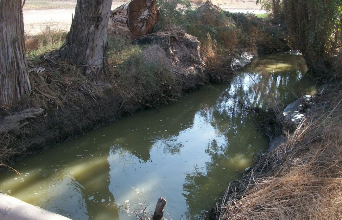 imagen Impacto Ambiental Aplicado al Riego