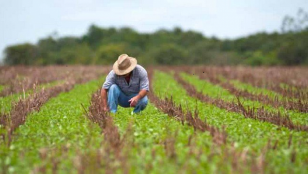 imagen Buscan egresados de Ingeniería Agronómica