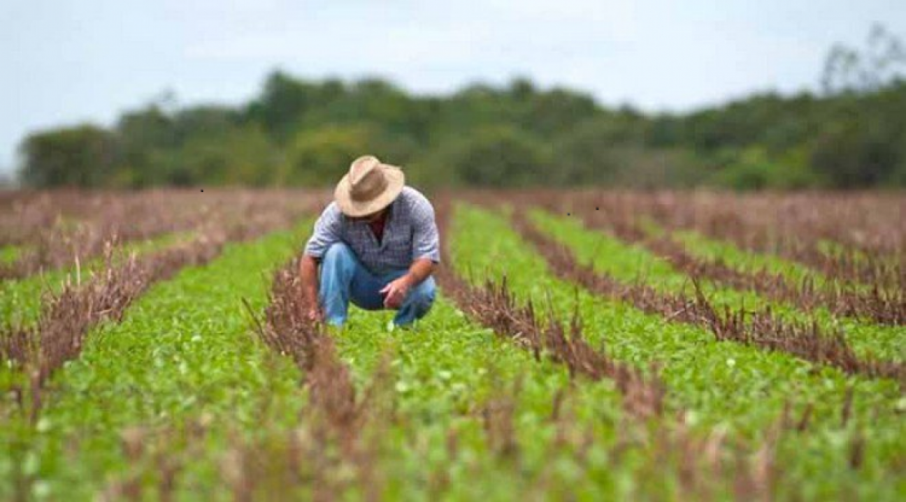 imagen Buscan egresados de Ingeniería Agronómica