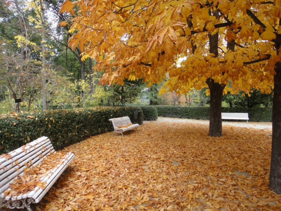 imagen Charla: Coloreando el jardín en invierno  