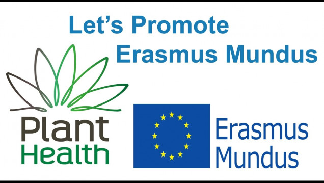imagen Beca Completa para realizar master Erasmus Mundus en Europa