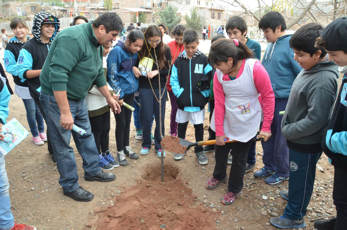 imagen Concluye la edición 2019 del programa "Mi árbol, mi escuela y yo"