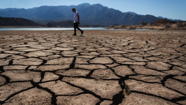 imagen Contra la Desertificación y la Sequía a nivel mundial