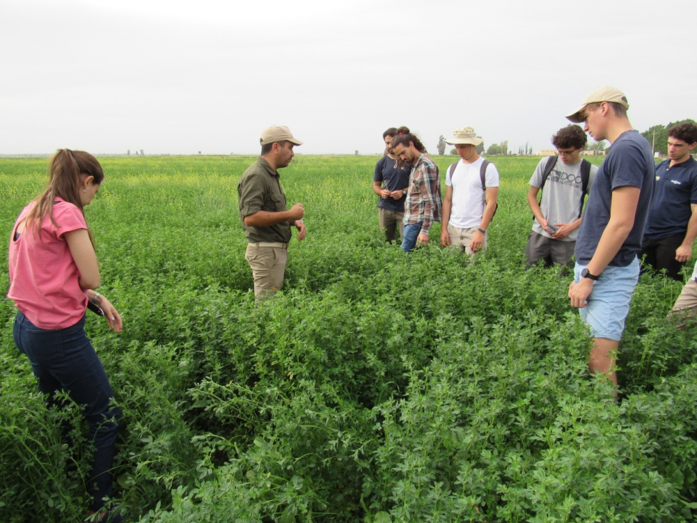 imagen La Pasantía Aplicada Agronómica requiere inscripción en el SIU GUARANÍ 