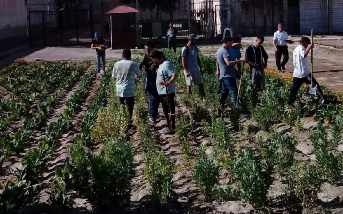 imagen La Facultad realiza acciones de vinculación académicas, tecnológicas, científicas y sociales