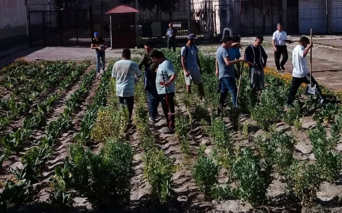 imagen Realizan primeras optativas de Prácticas Sociales Educativas en el penal Boulogne Sur Mer