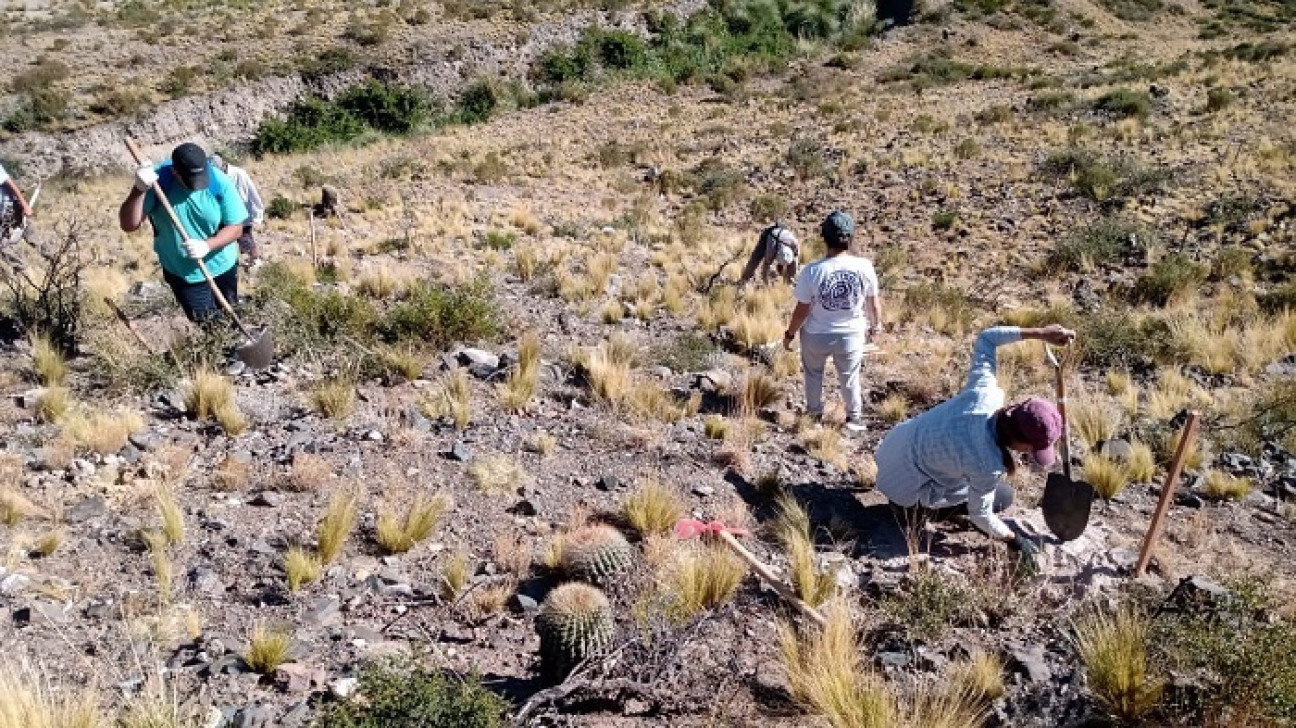 imagen Exitoso cierre de las Prácticas Sociales Educativas (PSE) en Potrerillos