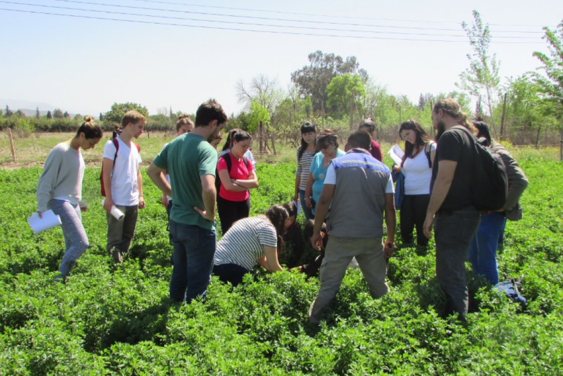 imagen AUDEAS invita a Seminario de Posgrado "Prospectiva e Innovación Agrícola y Alimentaria"