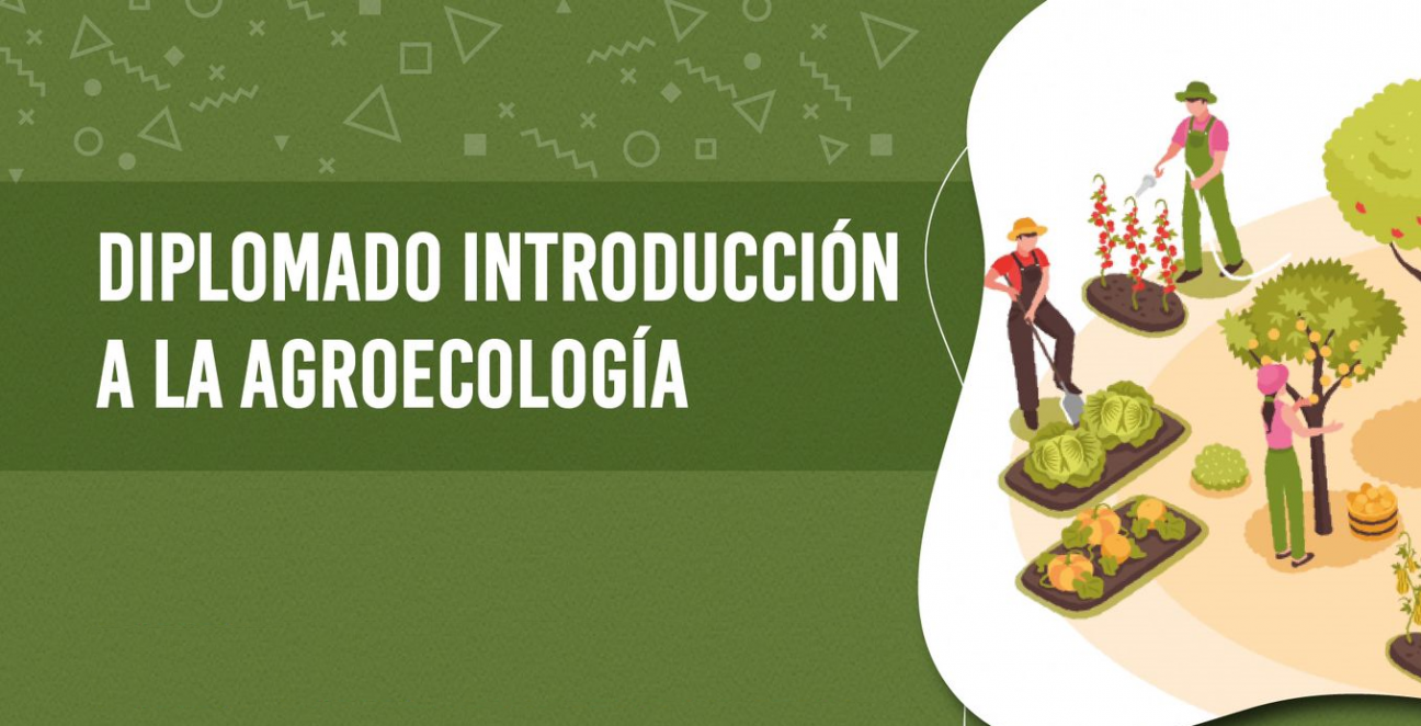 imagen Dictarán Diplomado de "Introducción a la agroecología"