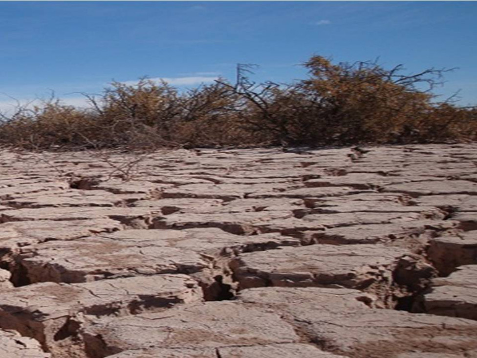 imagen Organizan ciclo de conferencias sobre restauración ecológica