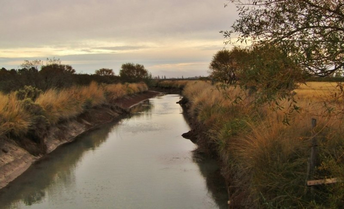 imagen Postulan para beca postdoctoral sobre la eficiencia del uso del agua