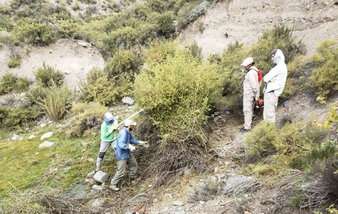 imagen Convocan a estudiantes para prácticas en proyecto de "Reforestación de quebradas en la subcuenca del Río Blanco"