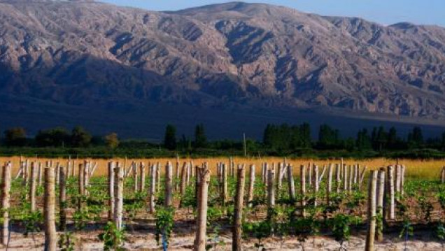 imagen Realizan capacitación sobre producción sustentable del sector vitivinícola