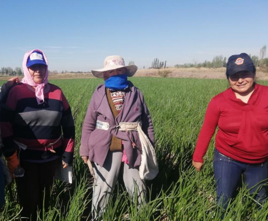 imagen Mujeres rurales en primera persona, un homenaje a todas ellas