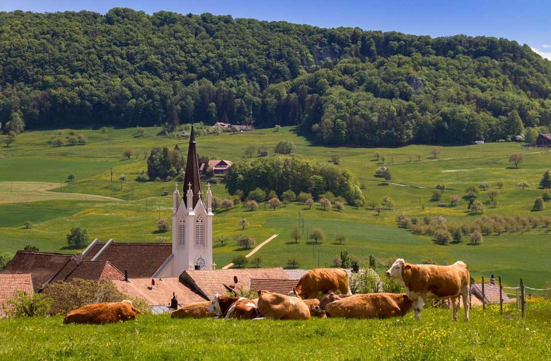 imagen Programa de prácticas formativas en Suiza