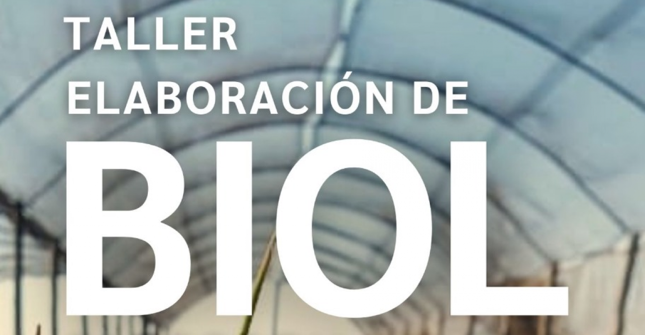 imagen Dictarán Taller de Elaboración de Biol