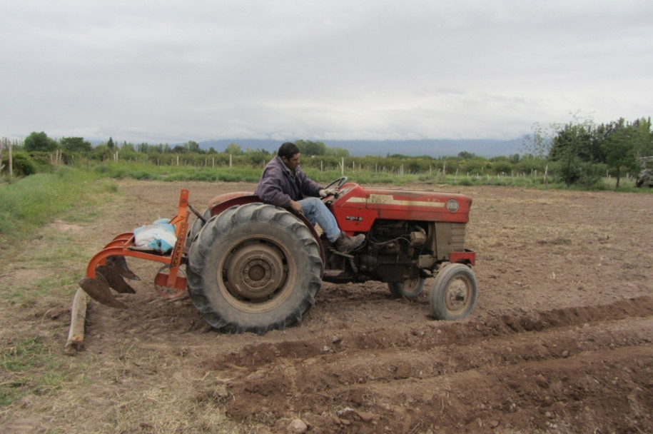 imagen 8 de Octubre - Día del Trabajador Rural argentino