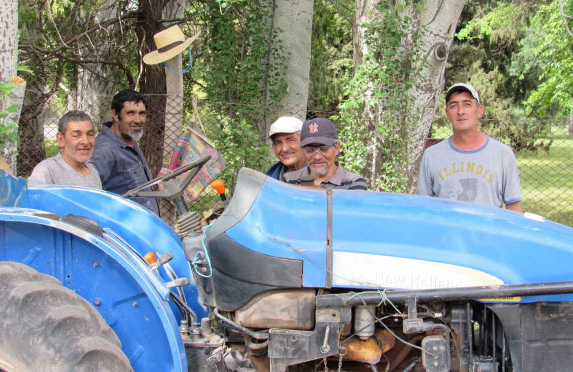 imagen El trabajador vitivinícola: un oficio noble y productivo en nuestra Provincia