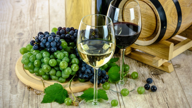 imagen La FCA ofrece un curso de vino en francés
