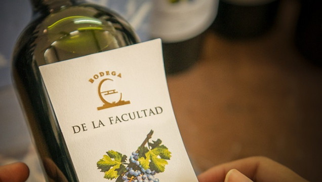 imagen Agrarias celebra el Día del Vino Argentino, parte de su historia