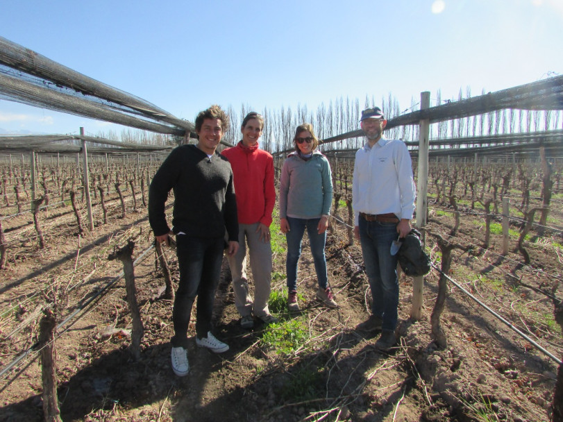 imagen Realizan proyecto sobre prácticas sostenibles en viñedos