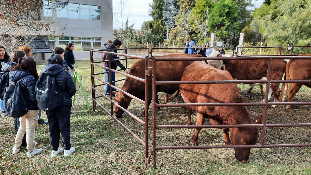 imagen Facultad Abierta 2025: Viví una experiencia en el mundo de las Ciencias Agrarias