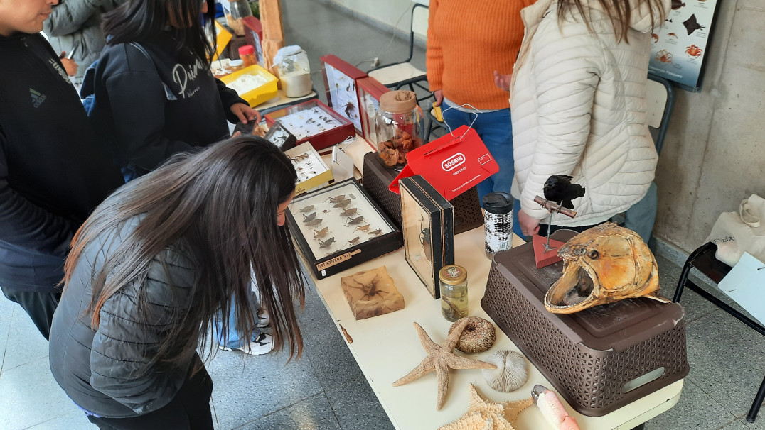 imagen Facultad Abierta 2025: Viví una experiencia en el mundo de las Ciencias Agrarias